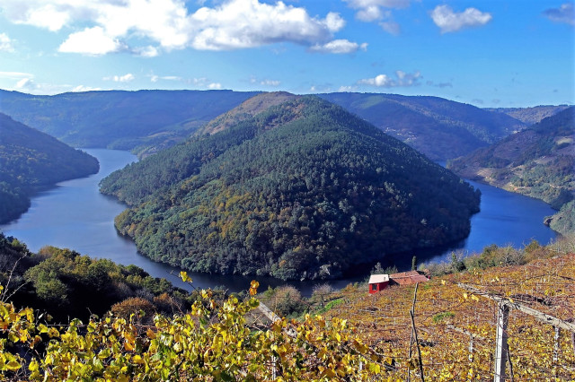 RibeiraSacraCabodoMundoRibeiraSacra