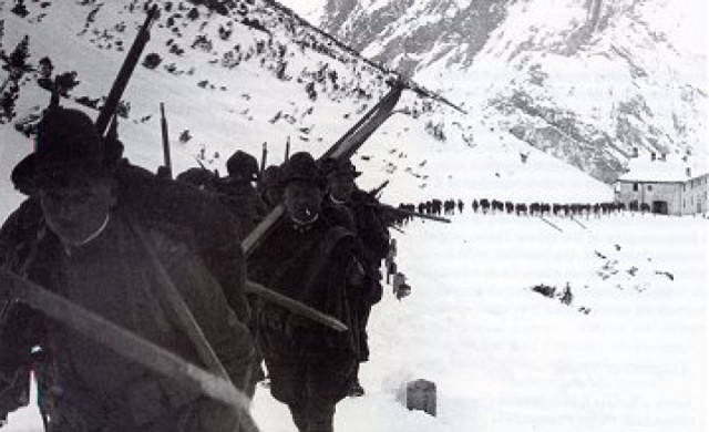 Alpinicolonna