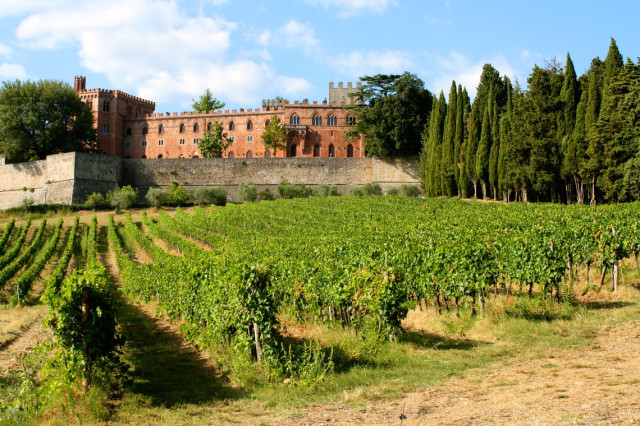 Broliovineyards