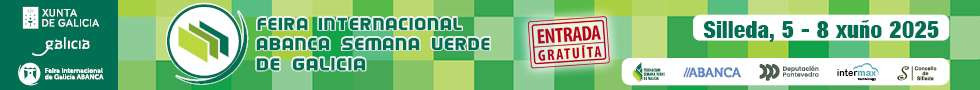 Borrador automatico 2025 05 13 borrador automatico