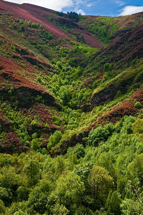 Courel, Lugo