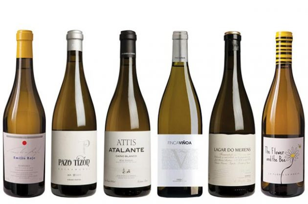 Galicia Panel Tasting 630x417