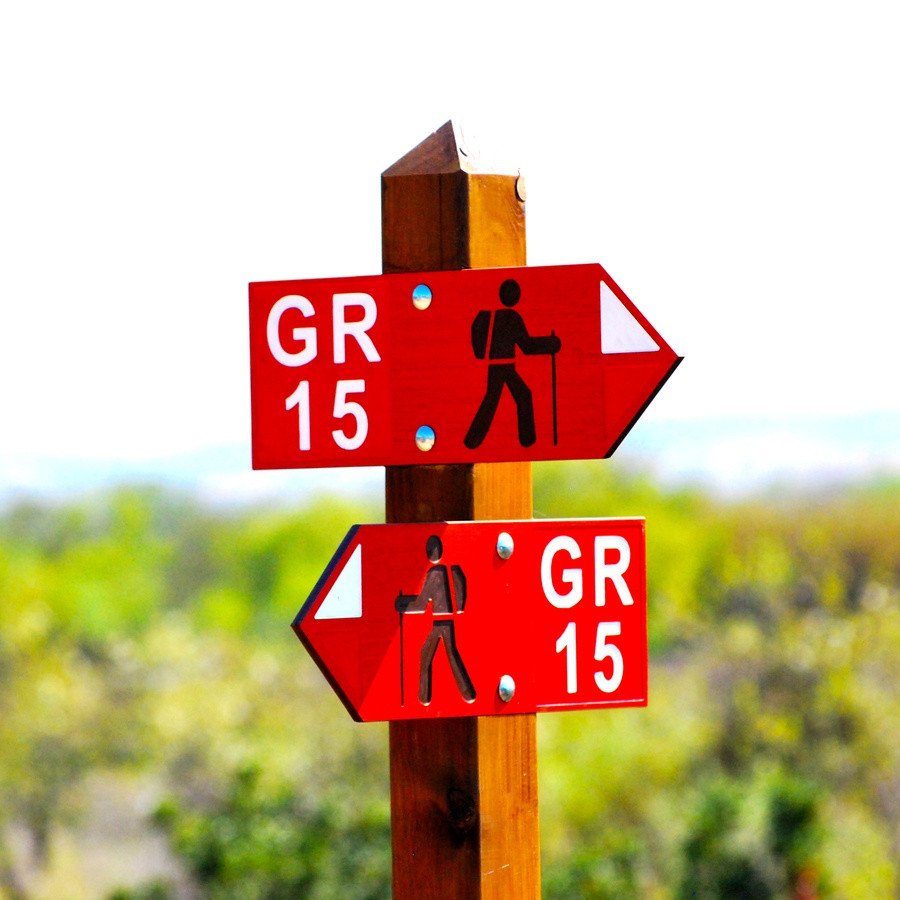 GR 15