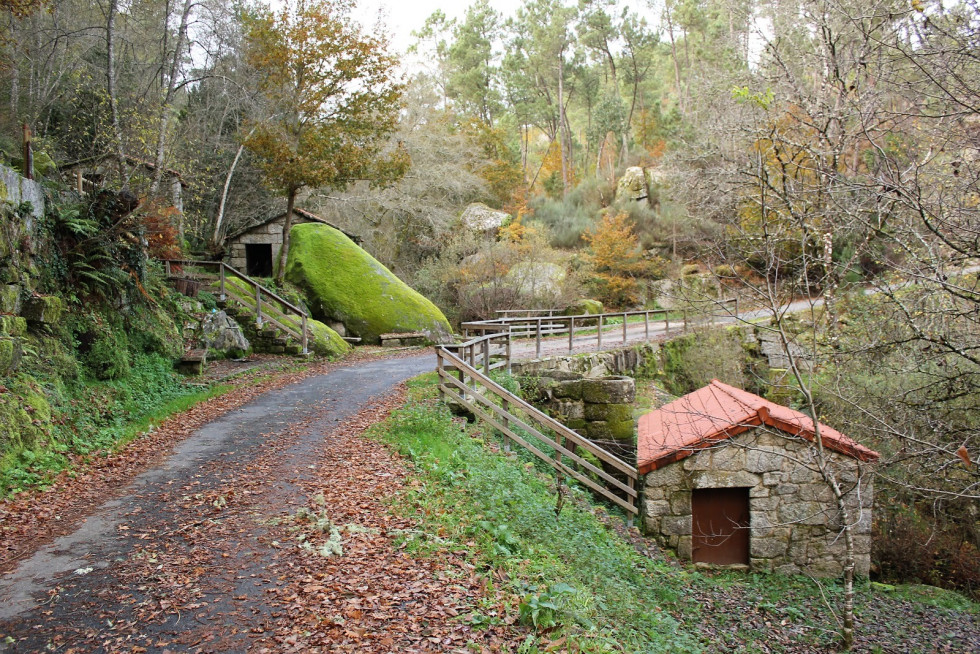 A veronza Carballeda de Avia  muiños 2