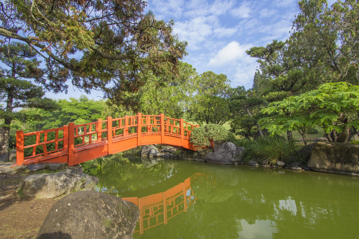 Santo Domingo Botanical Garden 1504
