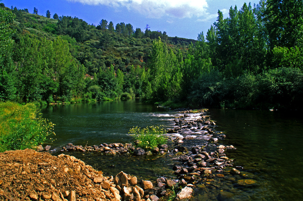 Camino de Invierno8. Puente Domingo Florez. Rio Sil