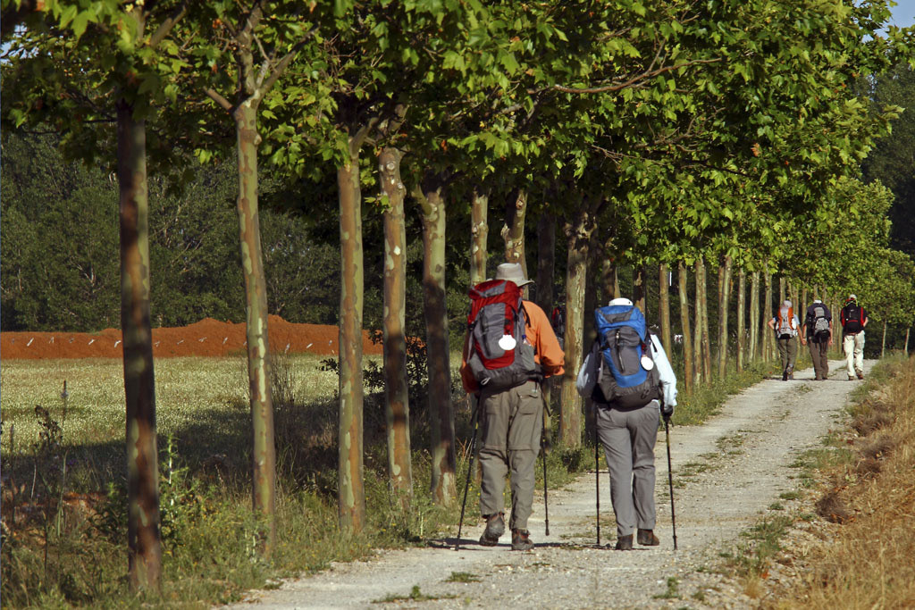 Sahagun08. Camino de Santiago