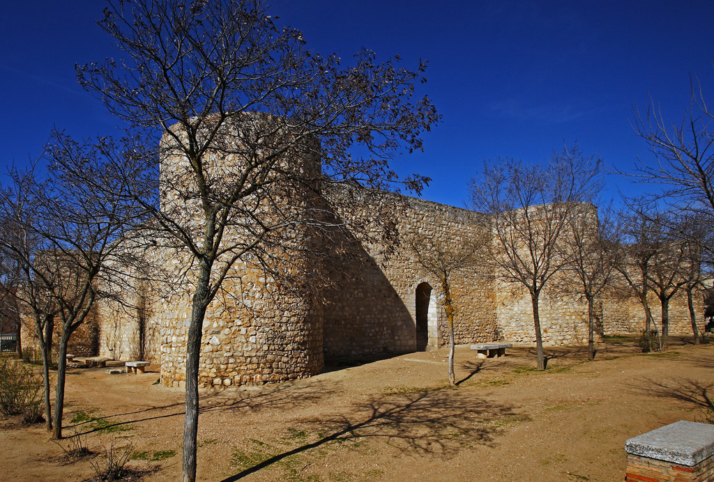 Toro06. Ruta Toro Monumentalia. Alcazar