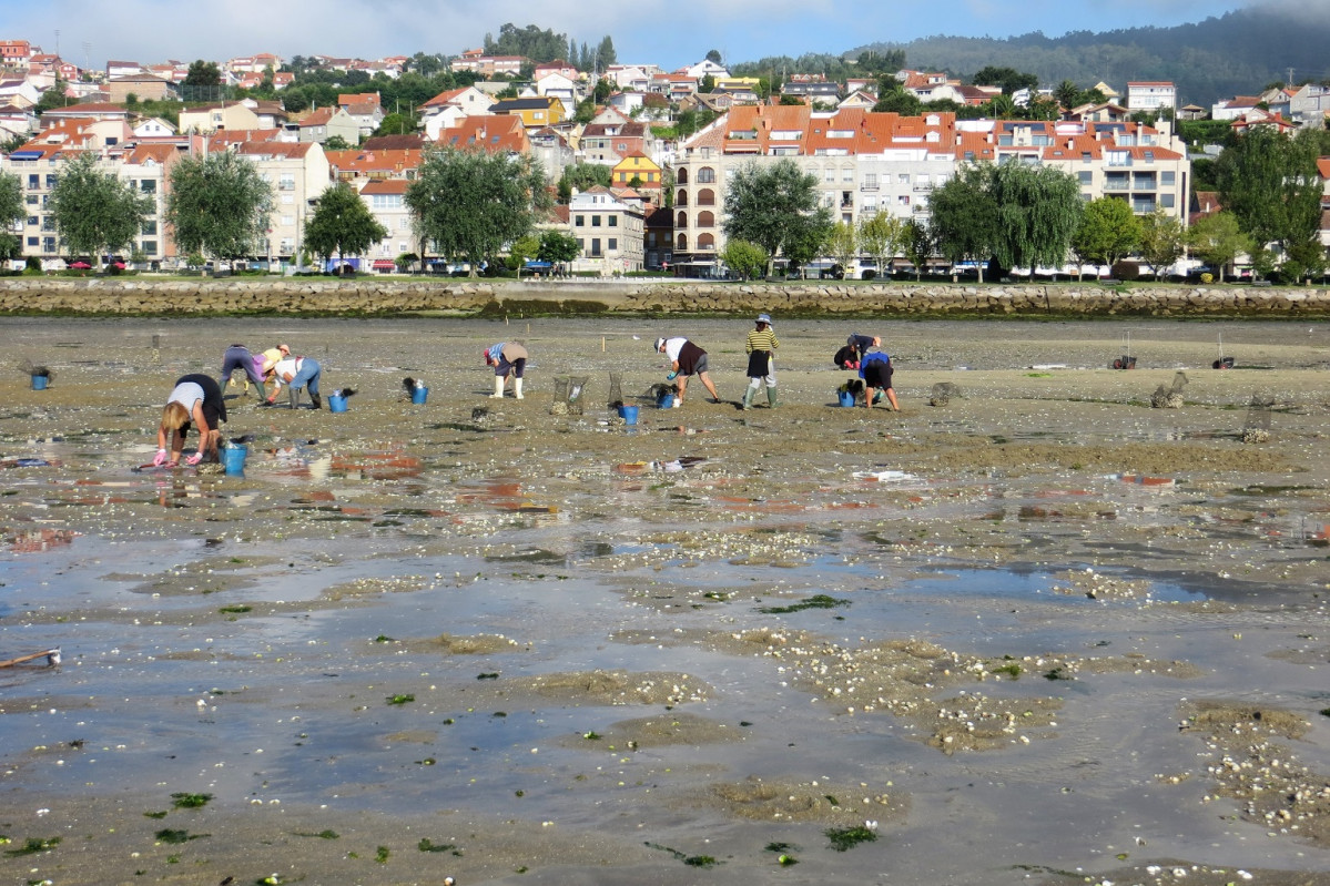 Mariscadoras da ru00eda 1540