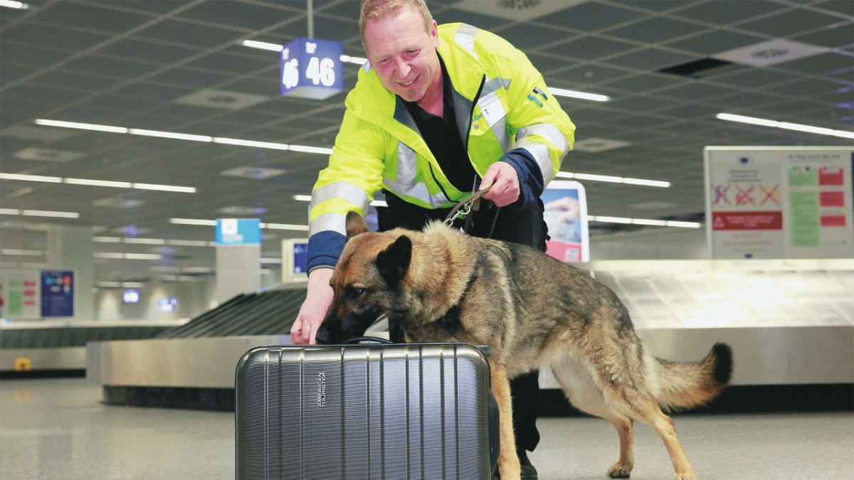 Perro antichince en acciu00f3n (Imagen Fraport).