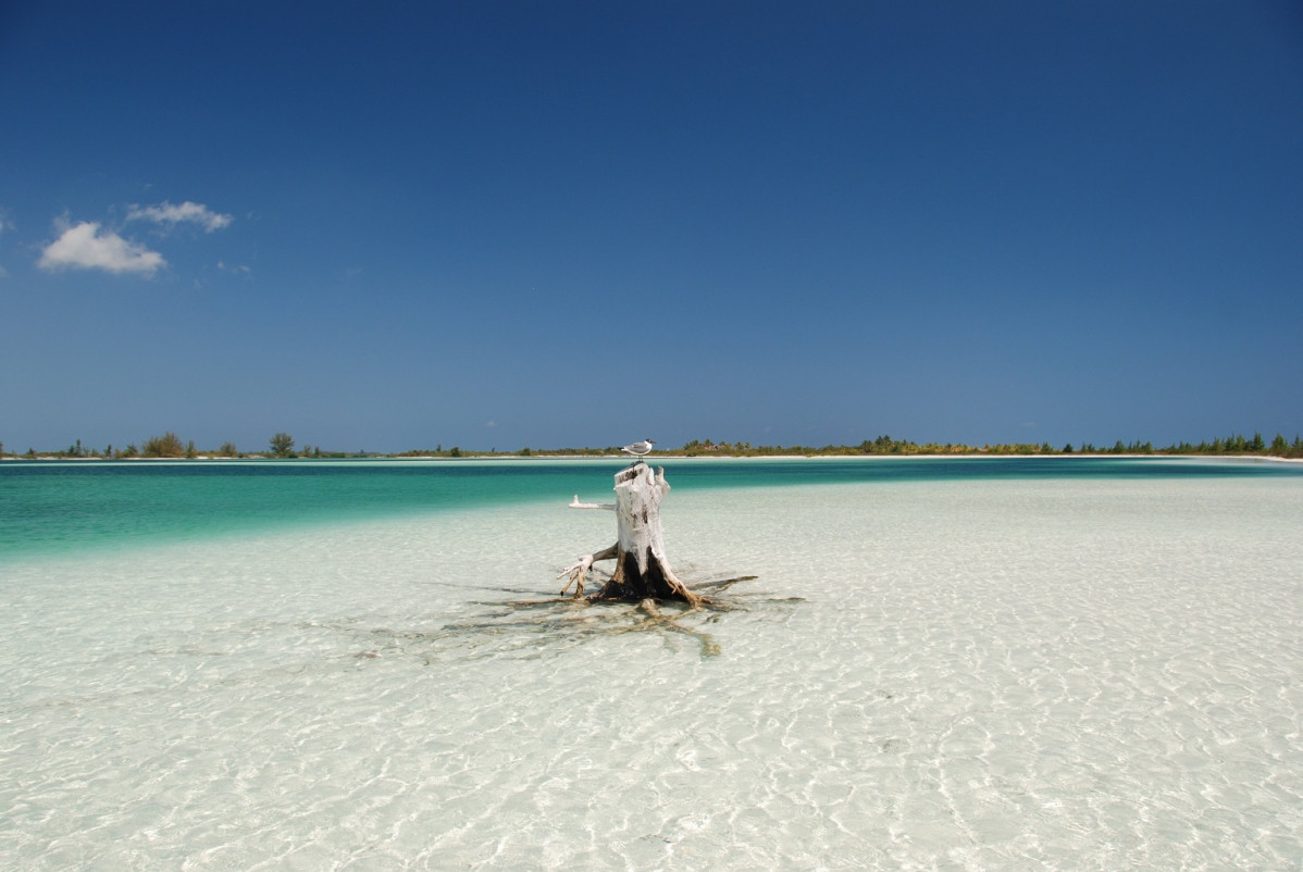 Cuba cayo saetia