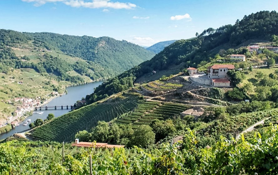 RIBEIRA SACRA via Romana Viñedos