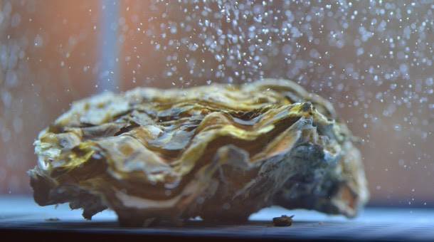 Unnamed (3)