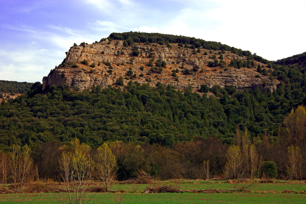 XXIX Descenso del Arlanza08. Sabinares de Arlanza