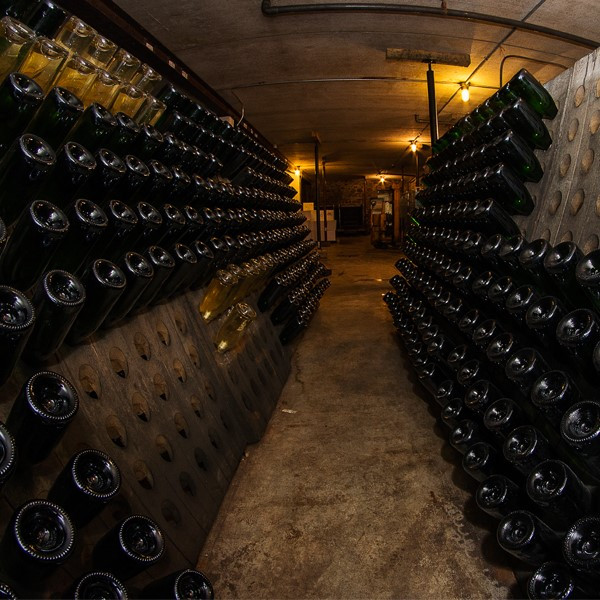Bodega de Espumosos (2)