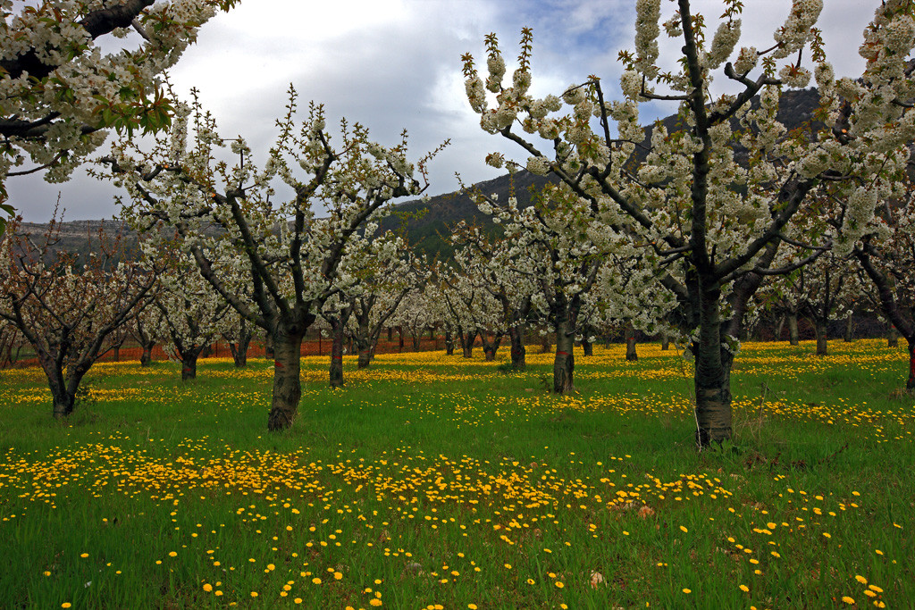 Raices de Castilla14. Valle de las Calderechas