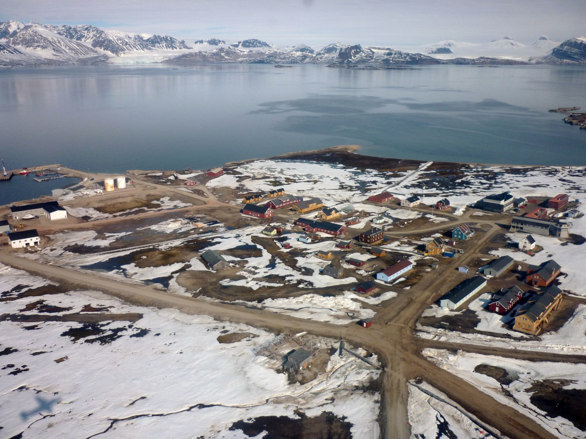 Ny u00c5lesund. MS