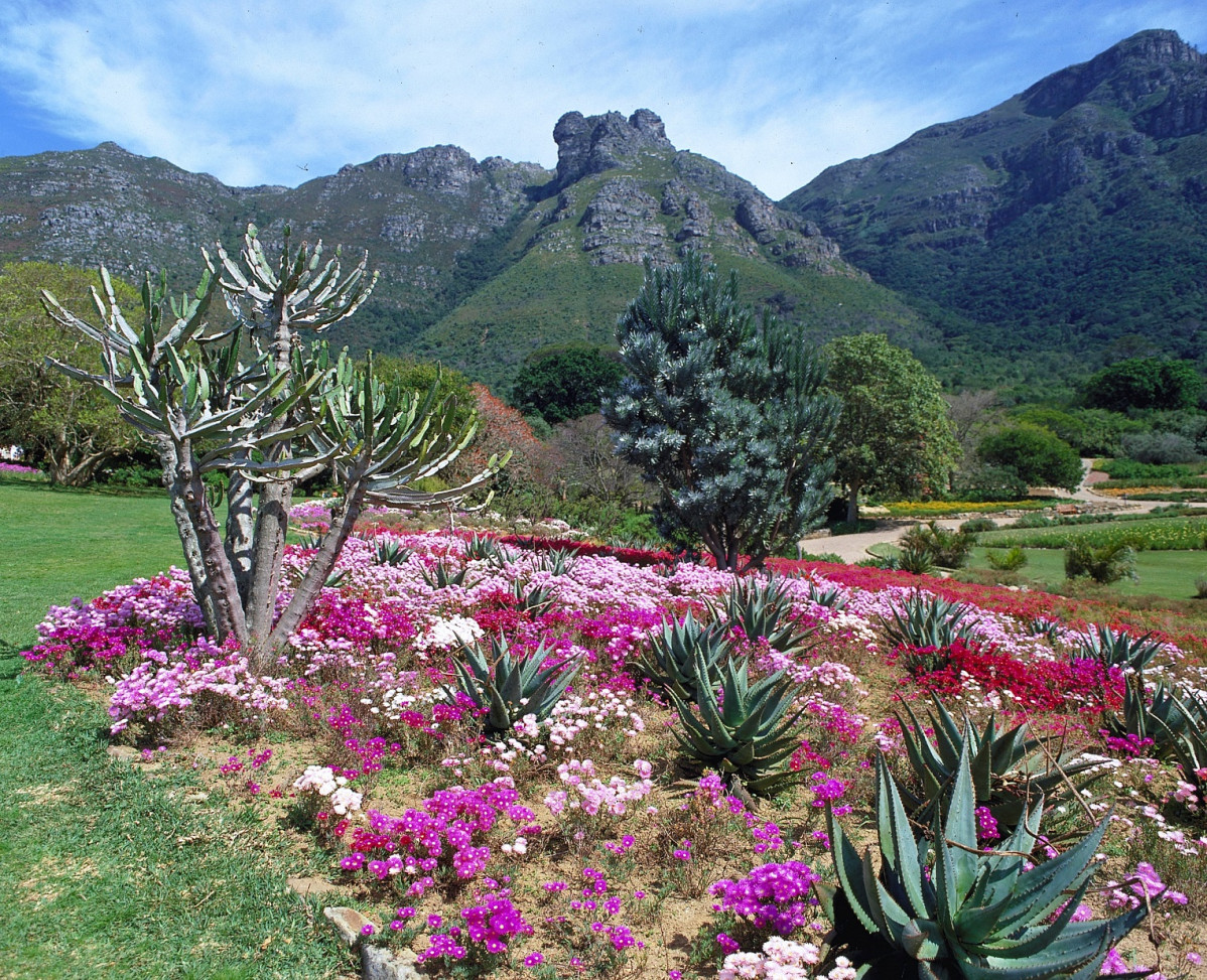Sudu00e1frica Proteas 1524