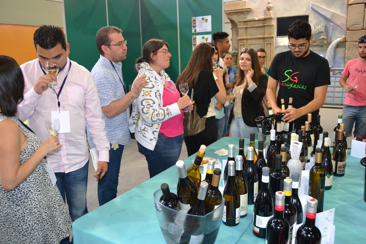 TUNEL VINO VINIS TERRAE 2015 1460
