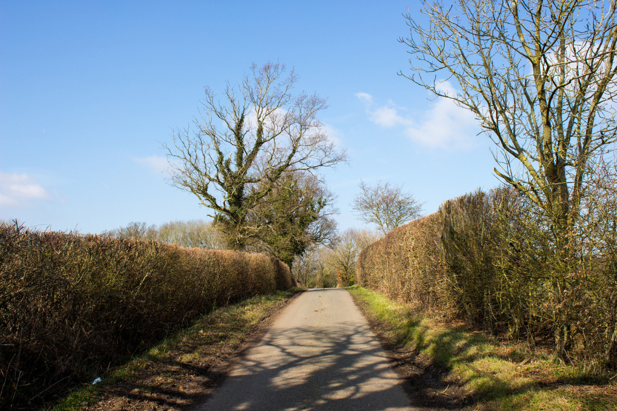 Puckley Greensand