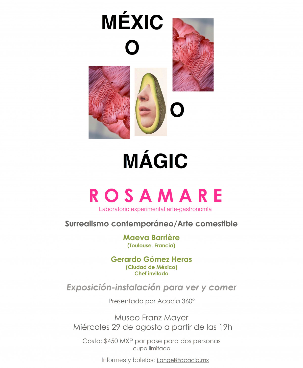 ROSAMARE poster def (2)