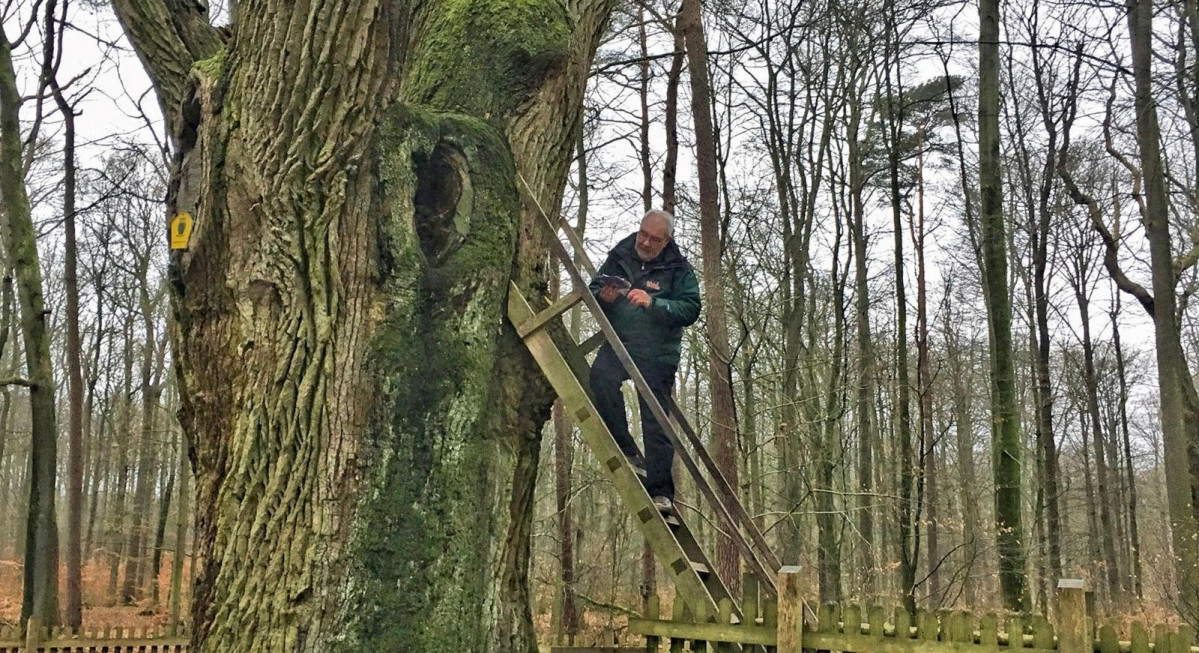 Alemania Martens still likes to come back to visit the tree (Credit Eliot Stein)