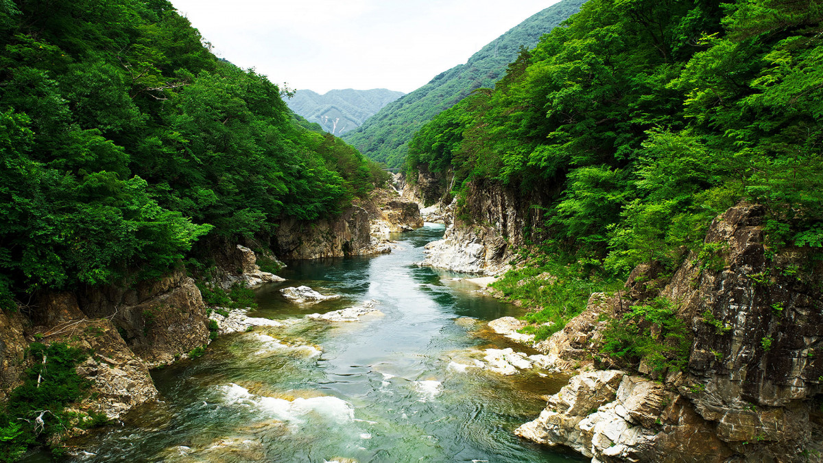 Parque Nikko 1920x1080 tcm 3153 1296867