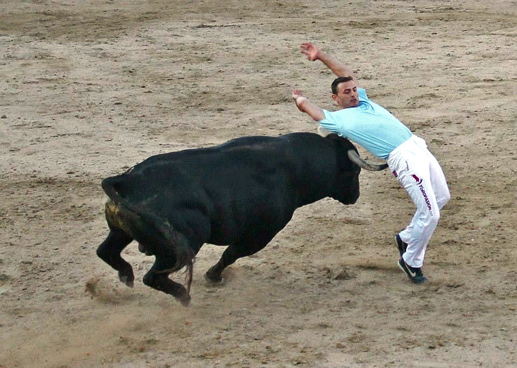 10 San Antolin. Concurso de Cortes