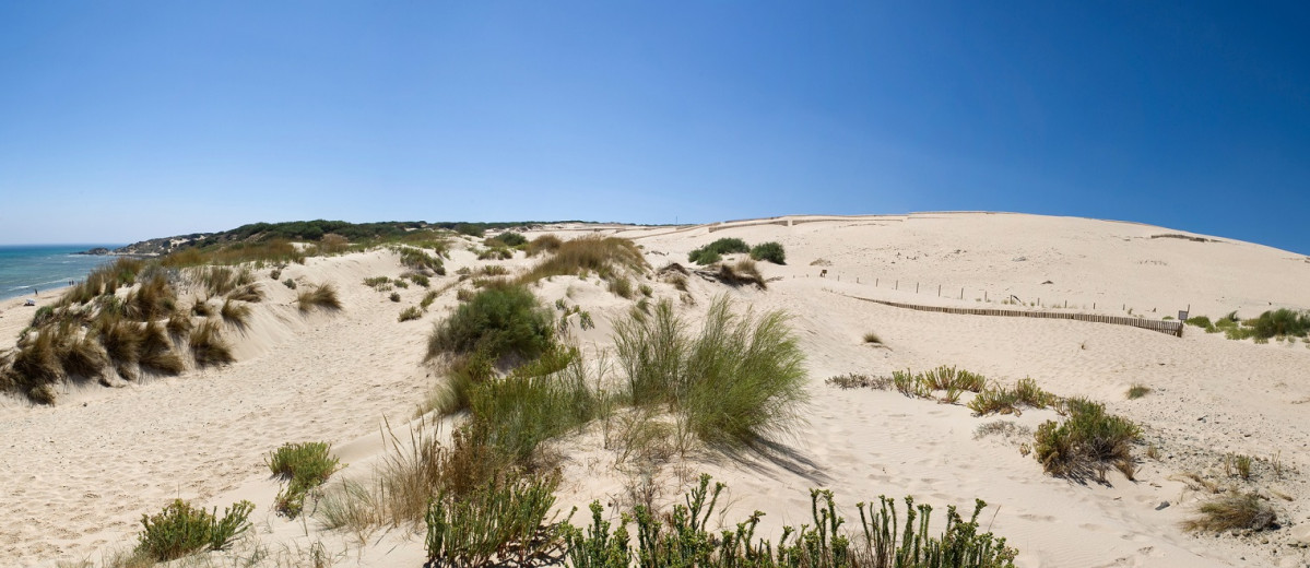Dunas de Valdevaqueros, Punta Paloma, Tarifa 1520