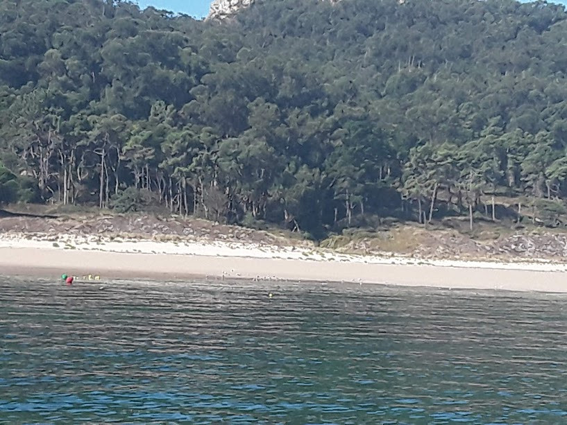 Islas Cies Playa de Rodas 20180912 112622