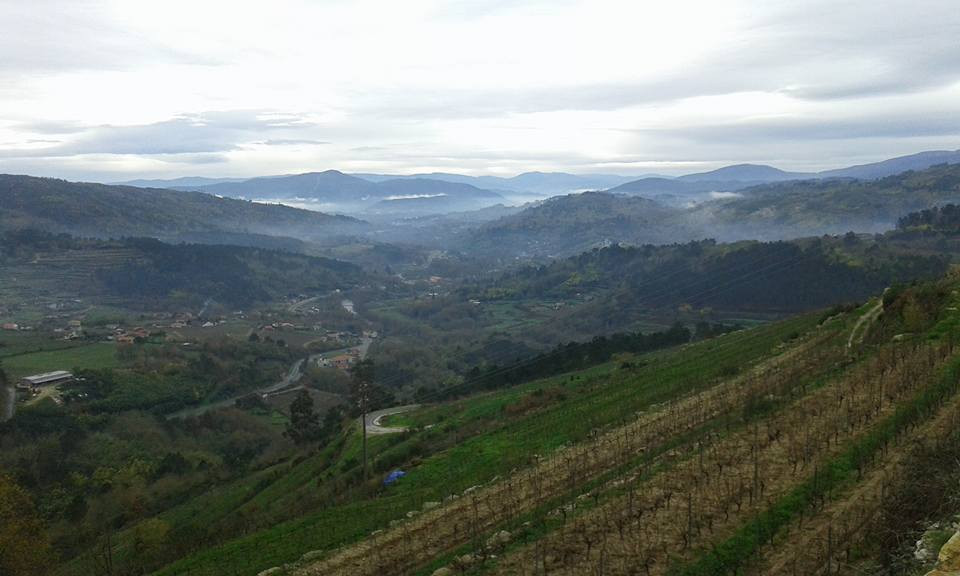 Ribeiro Panorámica