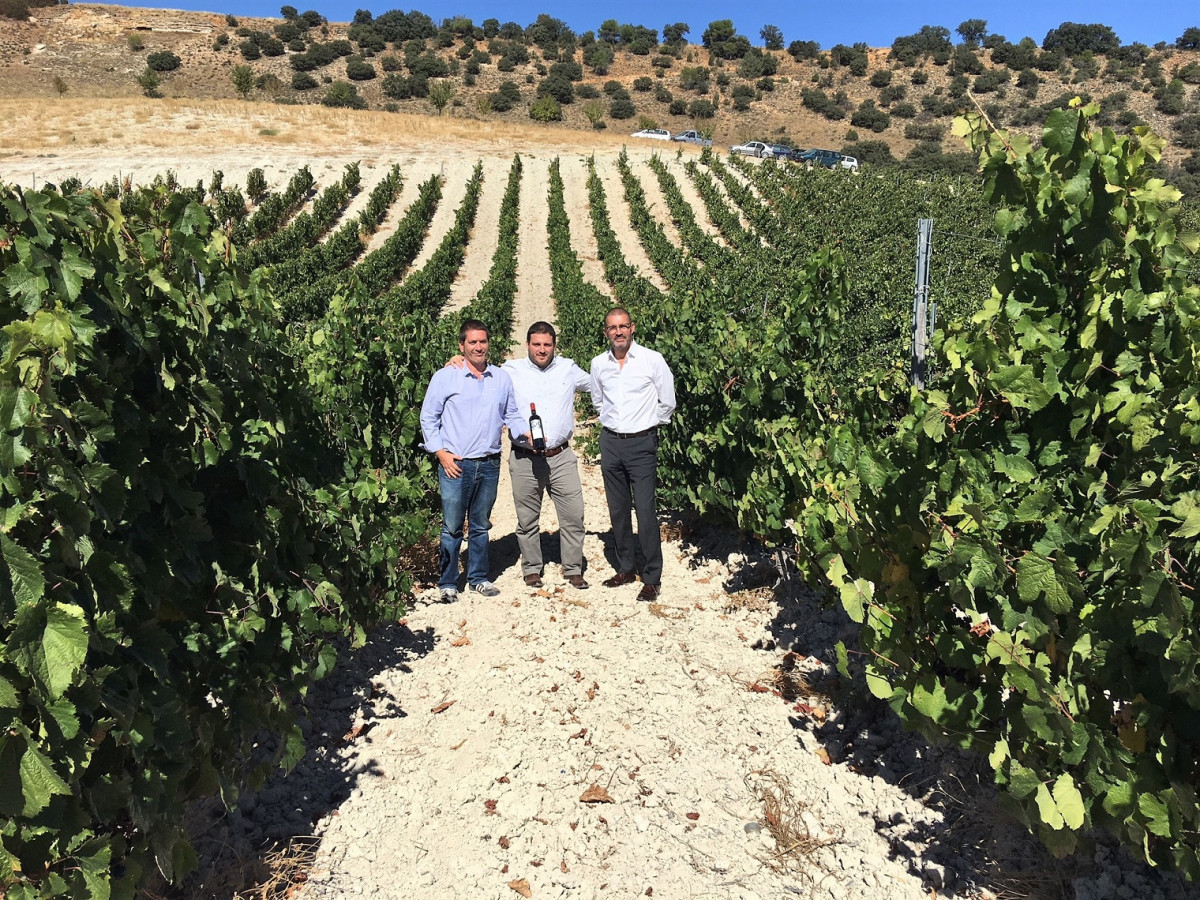 QUINTA SARDONIA BIODINAMICA 1520