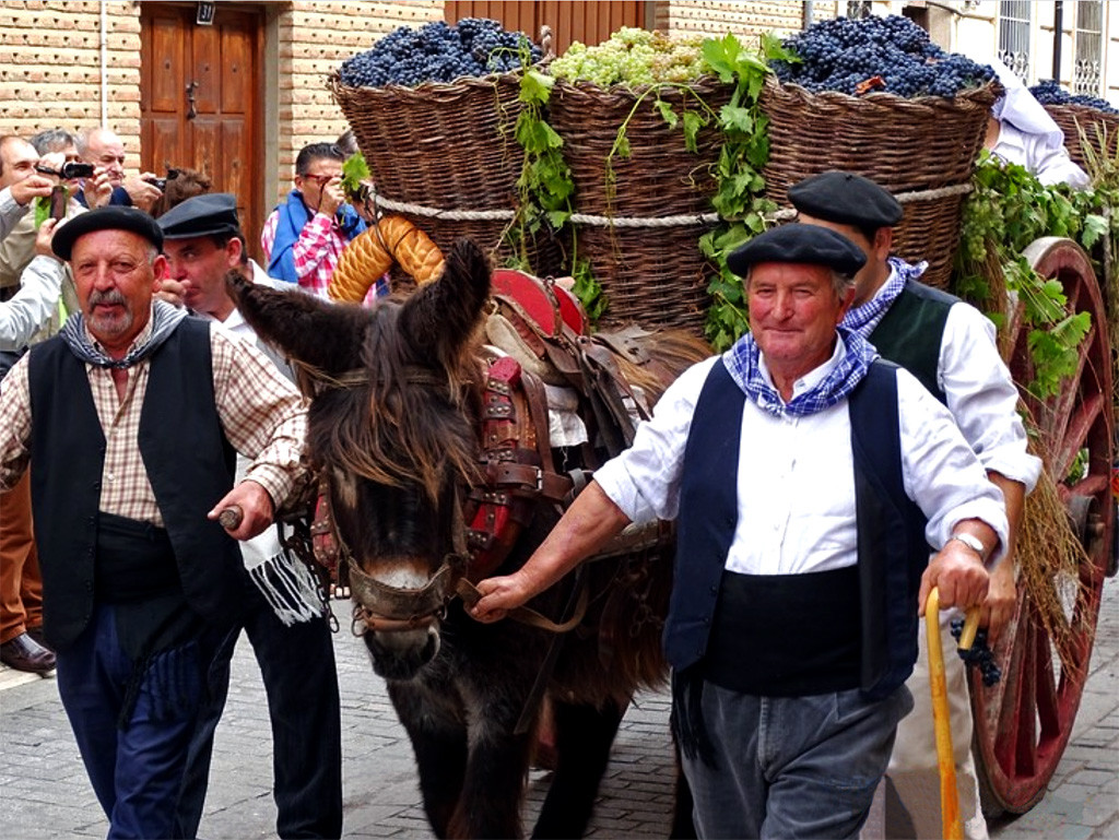 Fiesta de la Vendimia11