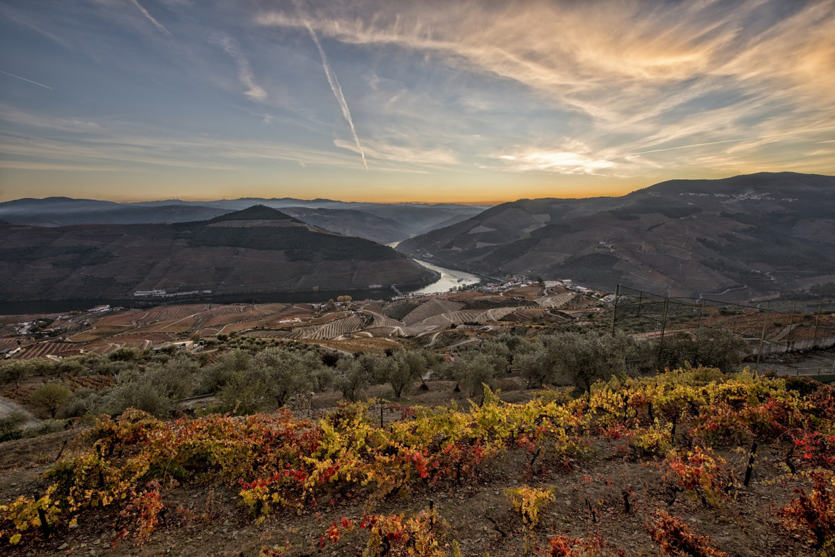 Alto douro GrupoCarris Carriu2560u00fcsBlancoReserva 16102018