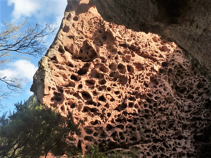 Mallorca La Roca de l'Indi nido de abeja