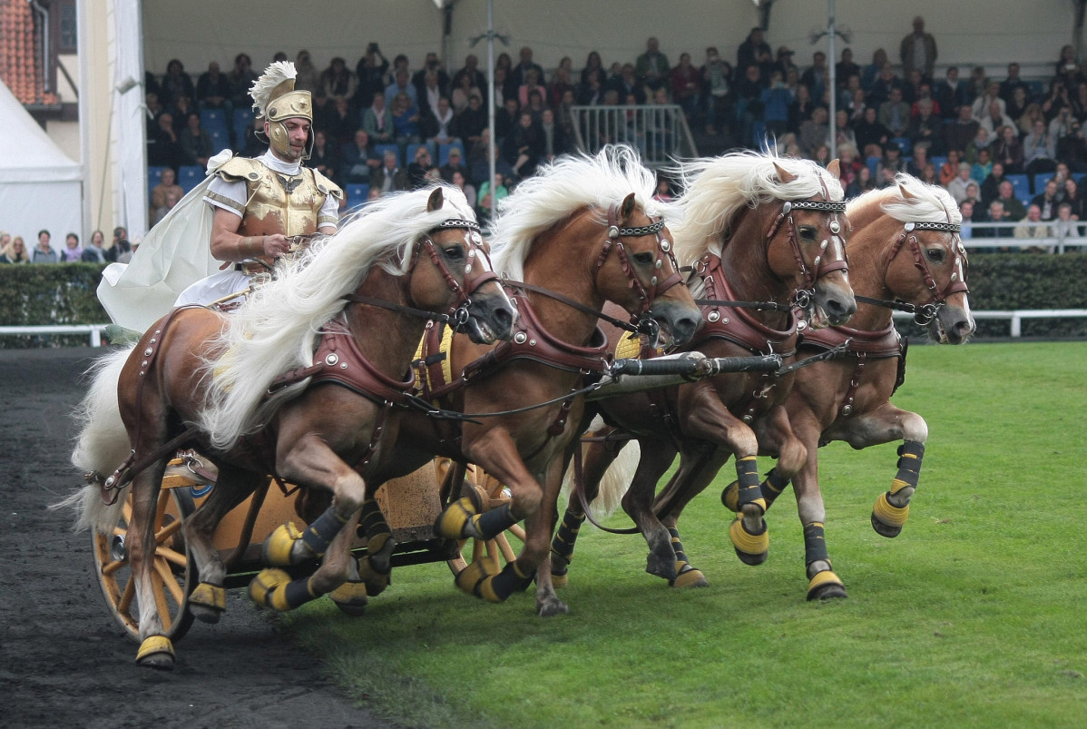 Celle alemania carreras caballos