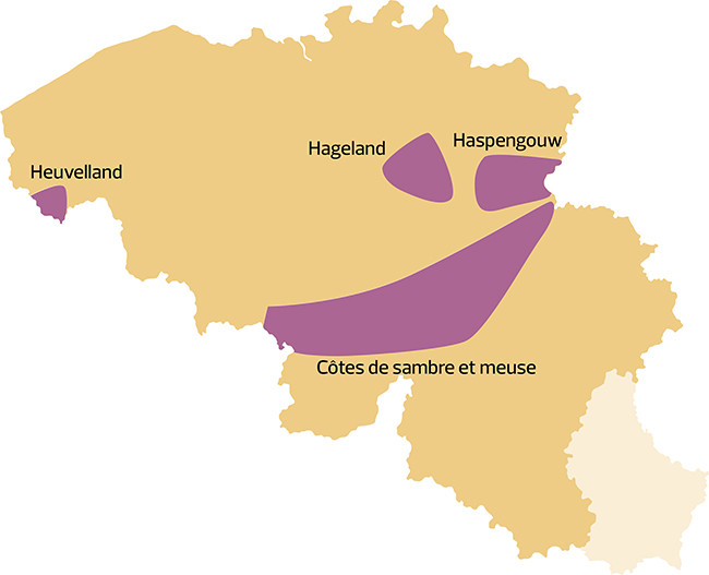 Denominaciones de Origen de Belgica