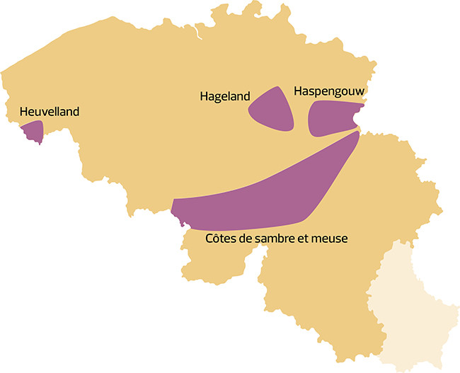 Denominaciones de Origen de Belgica