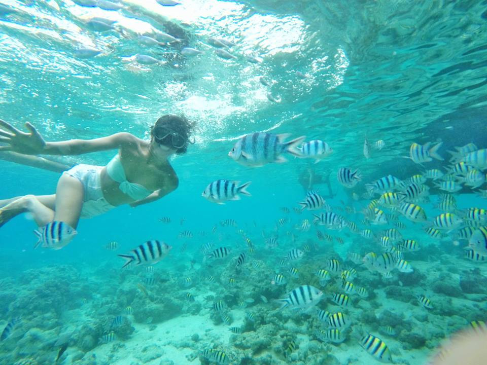 Filipinas San Vicente Marine Sanctuary Olango