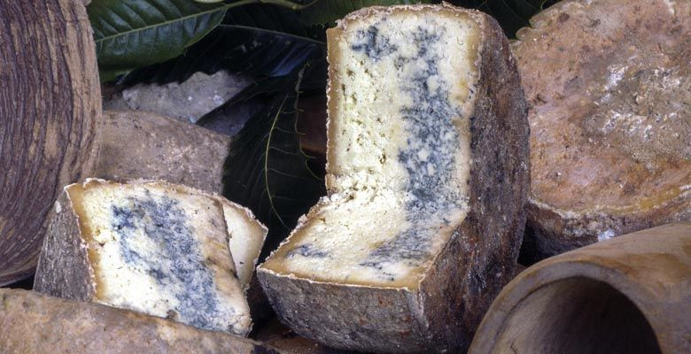 GAMONEU DEL PUERTU B 