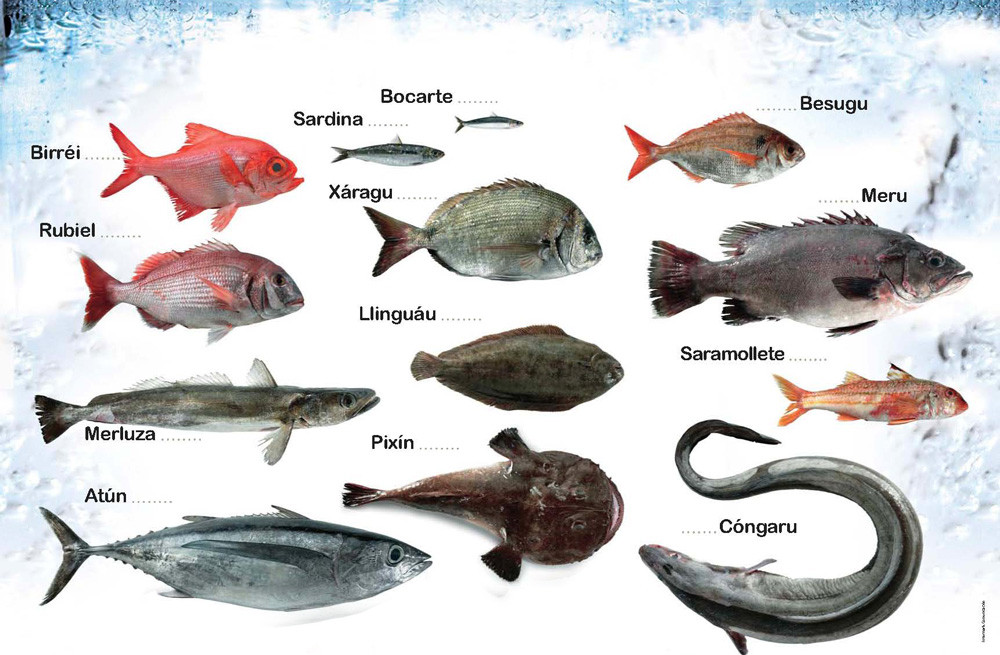 Pescados de asturias