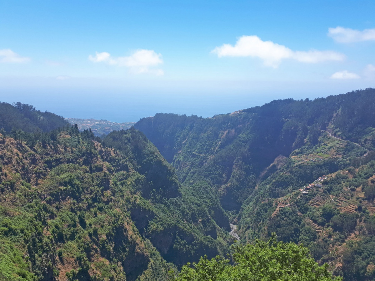 Madeira Eira do serrado