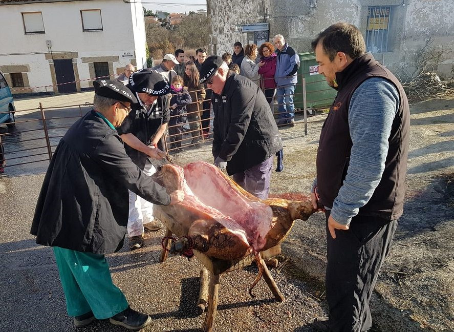Matanza salamanca
