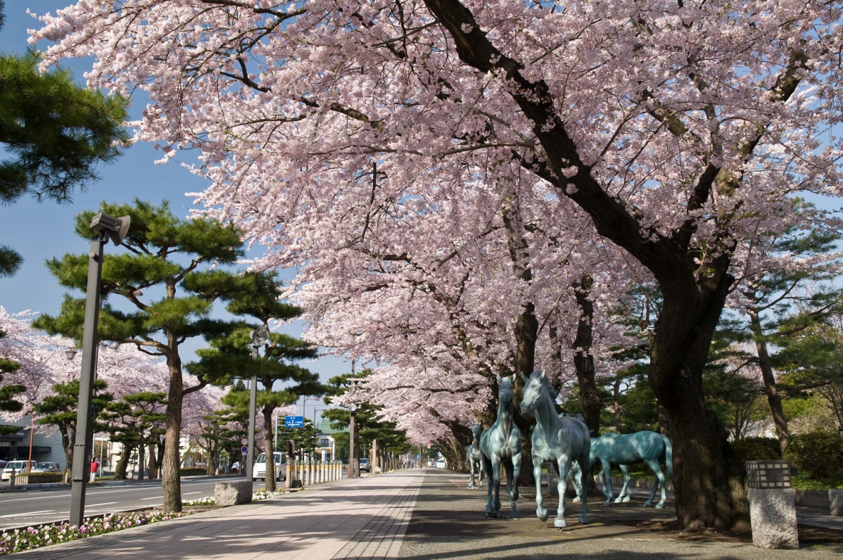 Japu00f3n Towada City Kanchogai dori, Komakaido