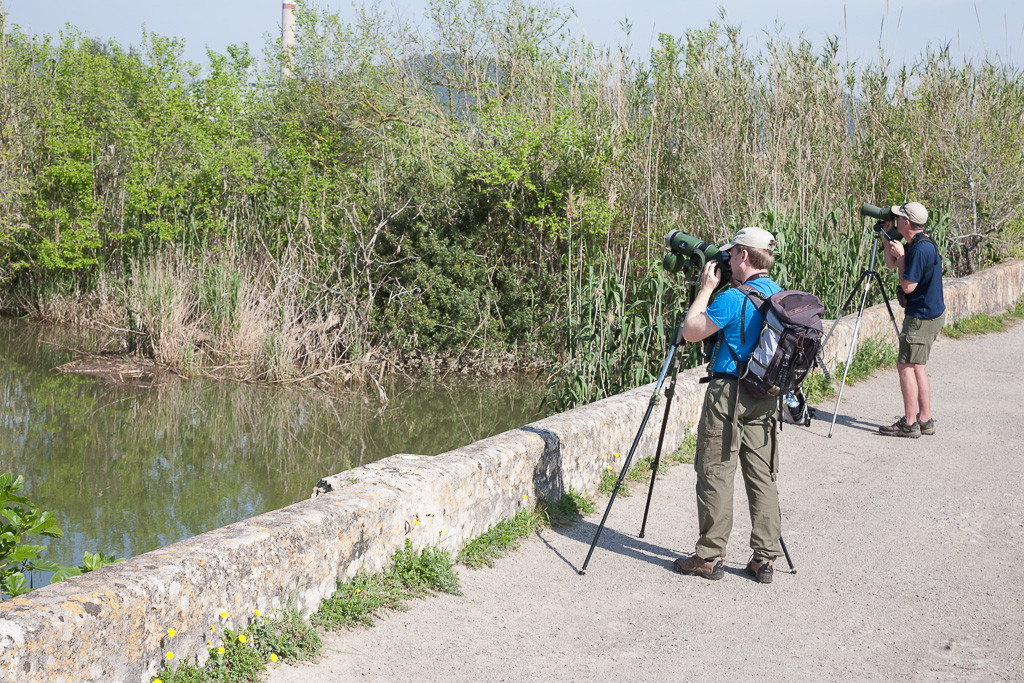 S'Albufera Ornitolegs 340 ATB