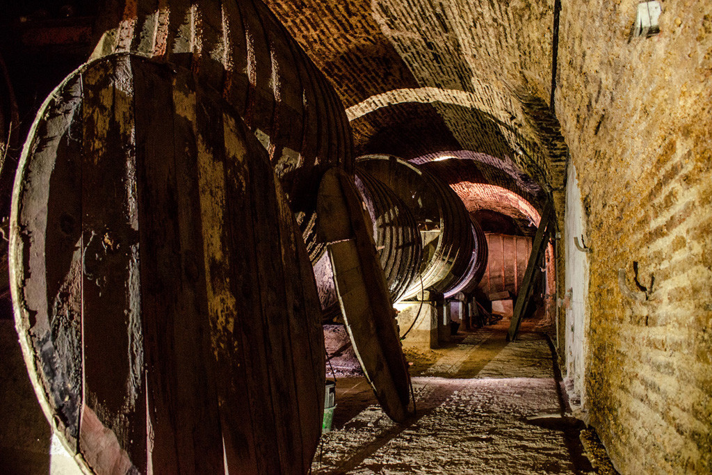 Enoturismo. Ruta del Vino de Rueda08. Bodegas Subterraneas