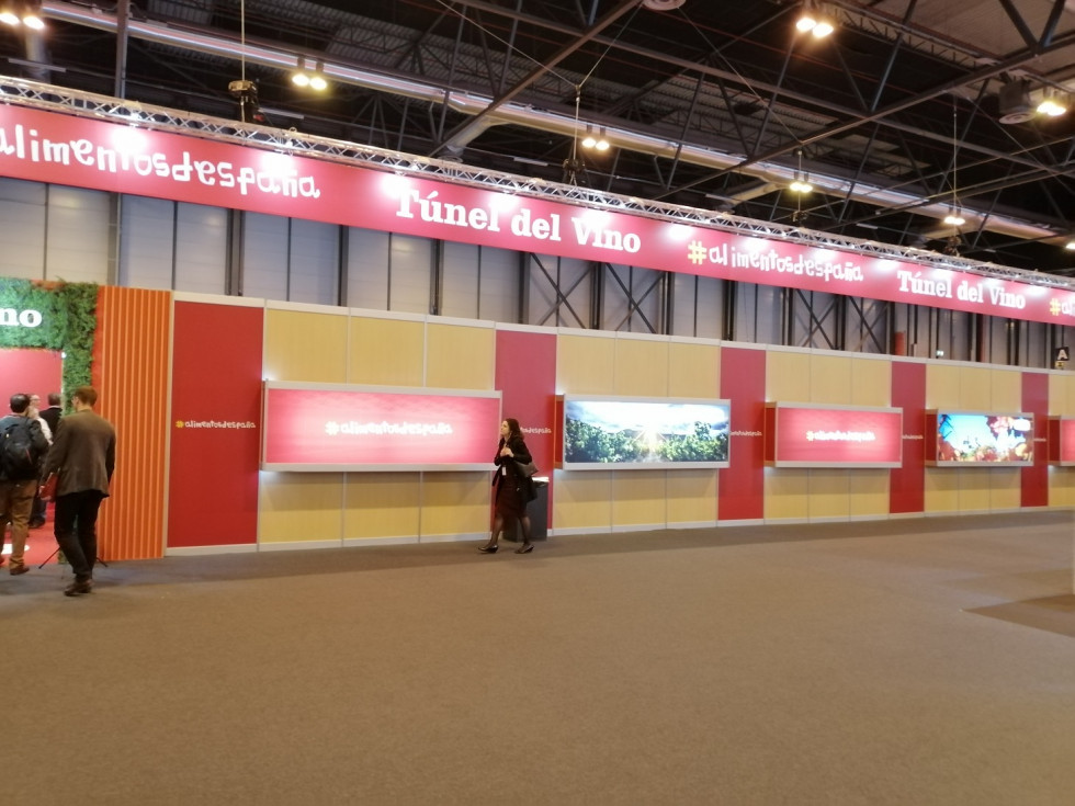 Tomás IMG 20190409 143515 (1)