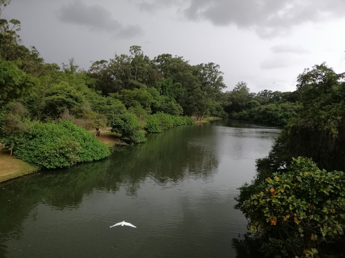 Parque Ibirapuera. IMG 20190406 142541