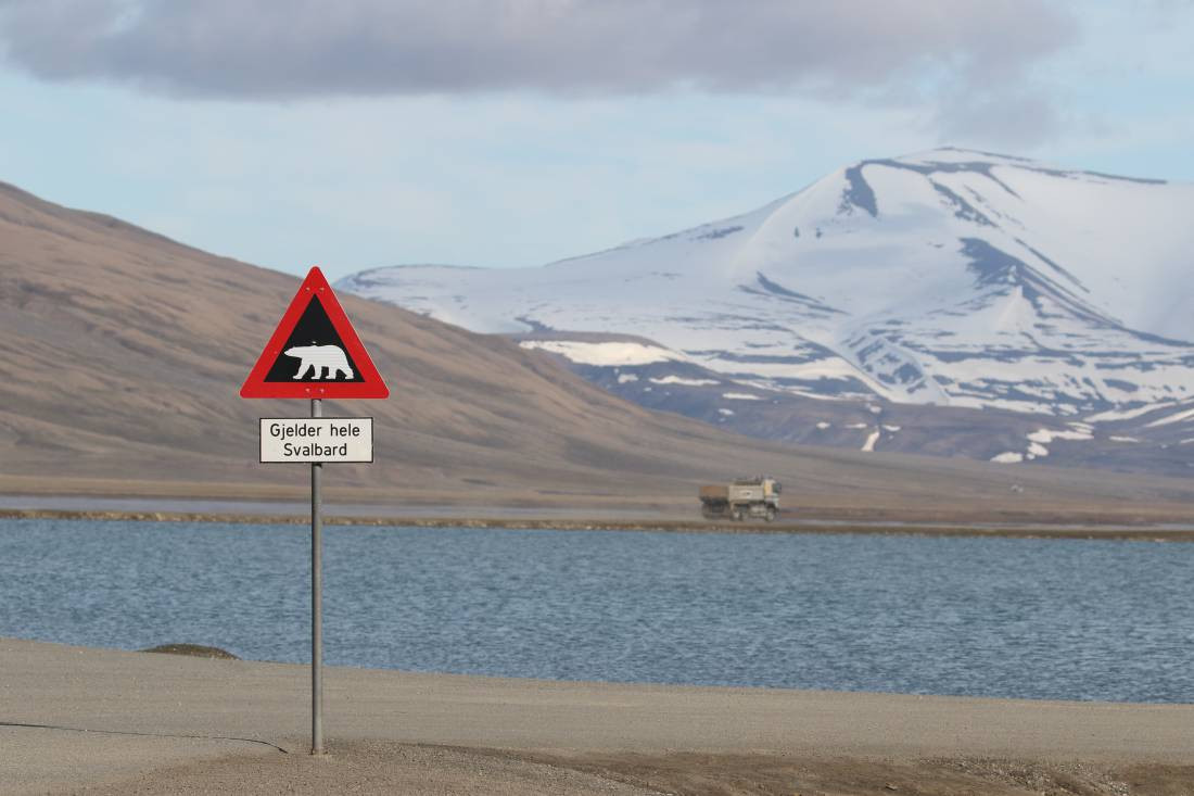 Svalbard viw