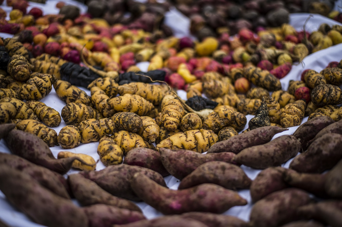 Papas Peru00fa